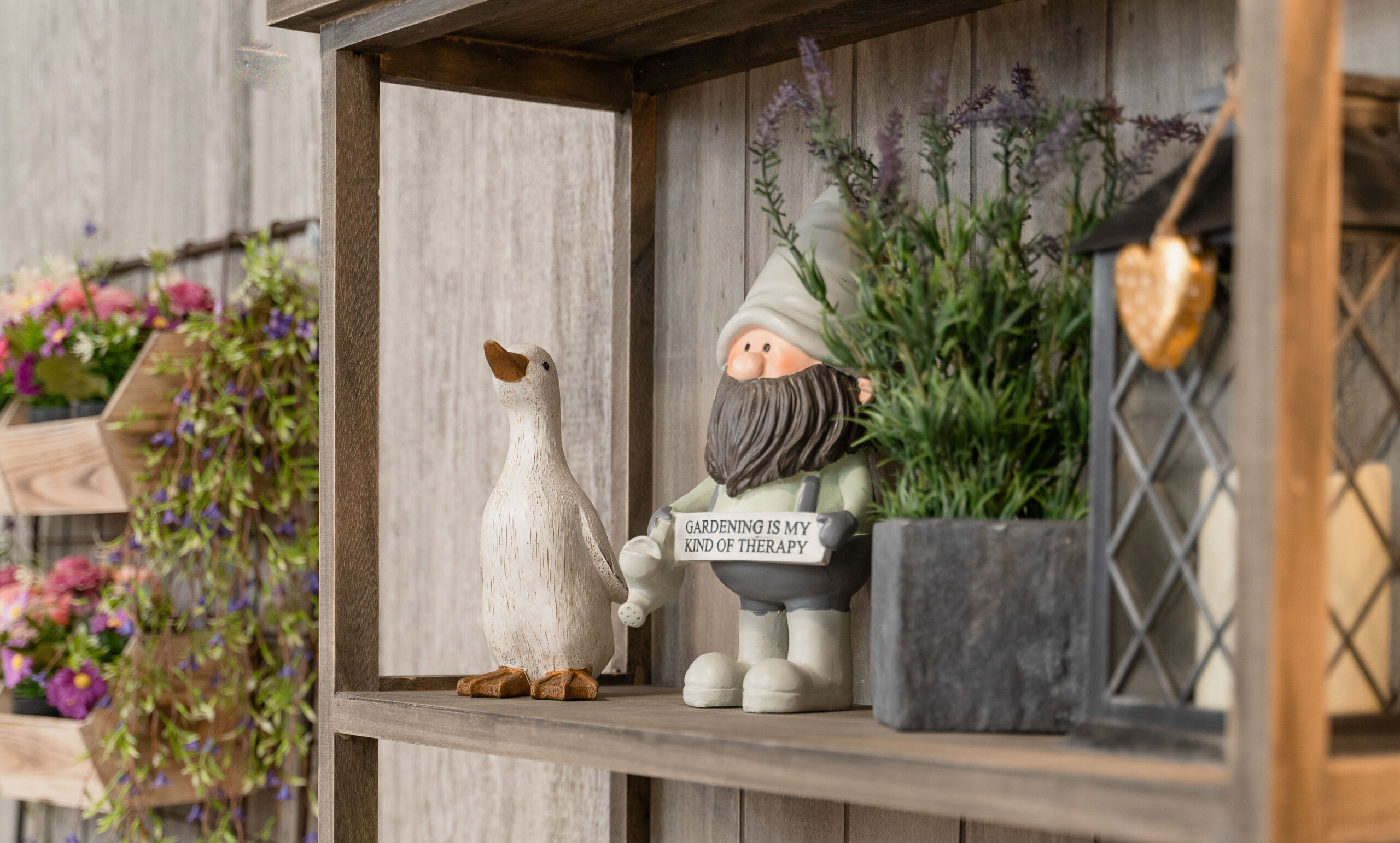 Acorn Meadow – Feature (2)